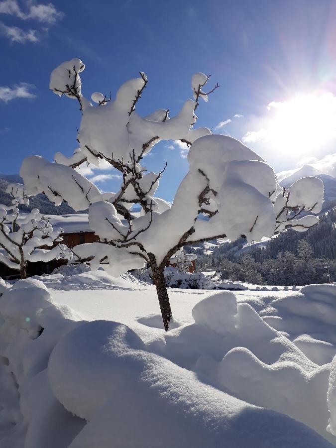 Hotel Haus Gmahblick Ferienwonungen Alpbach Exterior foto