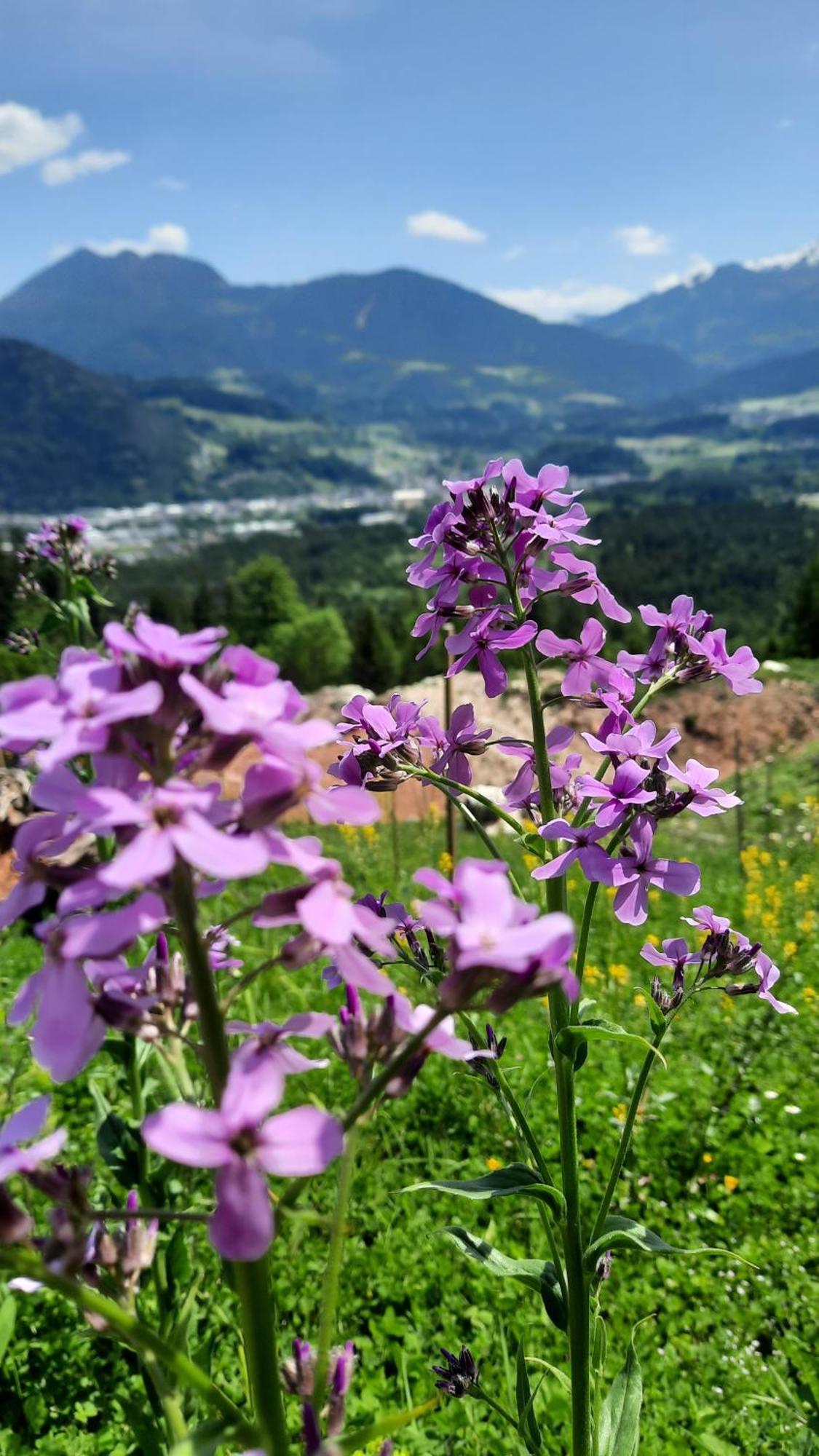 Hotel Haus Gmahblick Ferienwonungen Alpbach Exterior foto